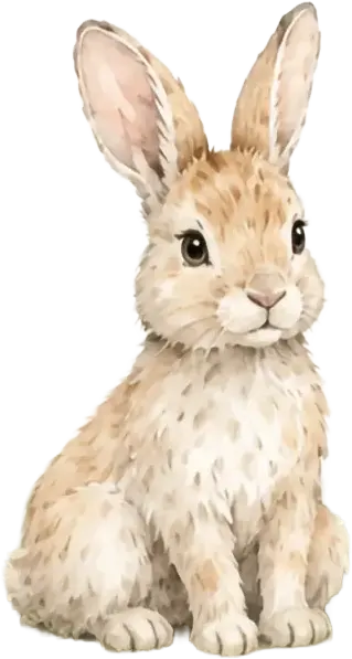 gruppe hase